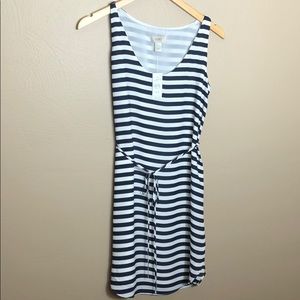Ann Taylor Loft Navy Striped Dress